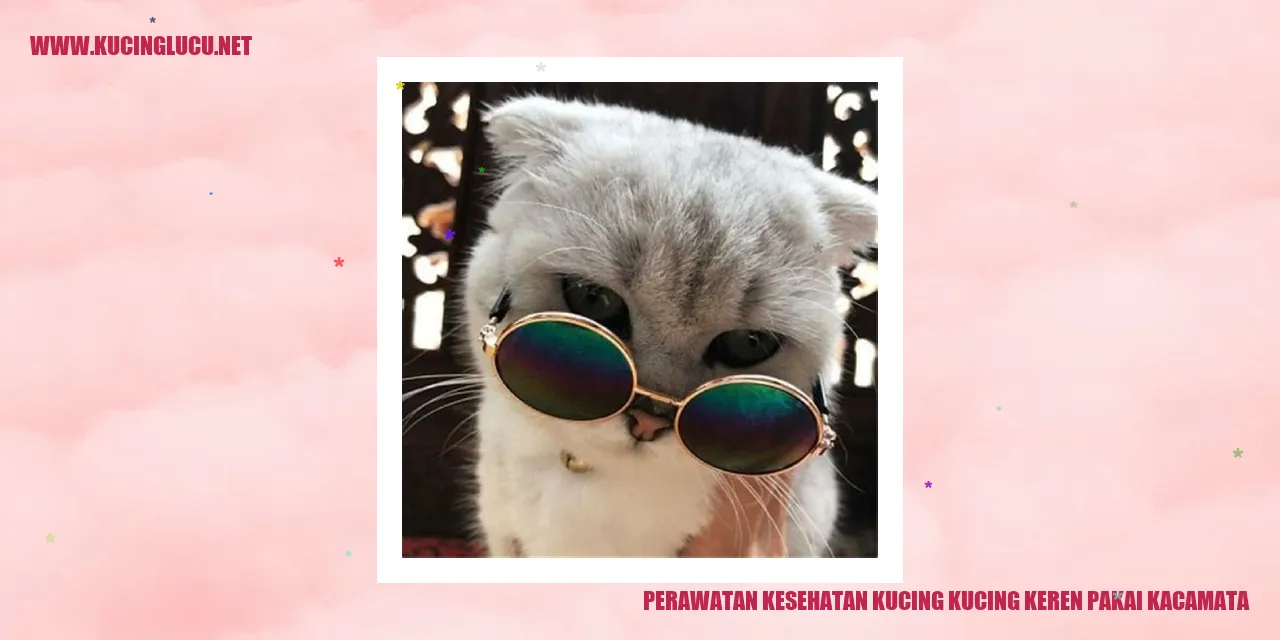 Foto Kucing Menggunakan Kacamata