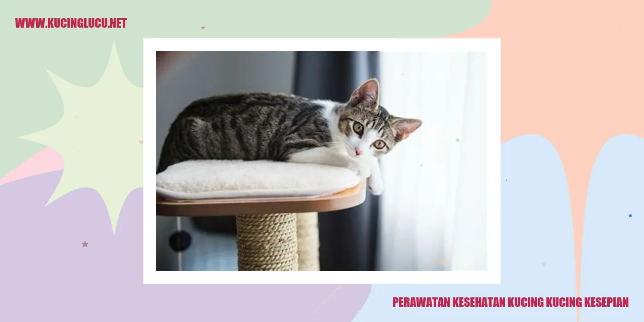 Perawatan Kesehatan Kucing Kesepian