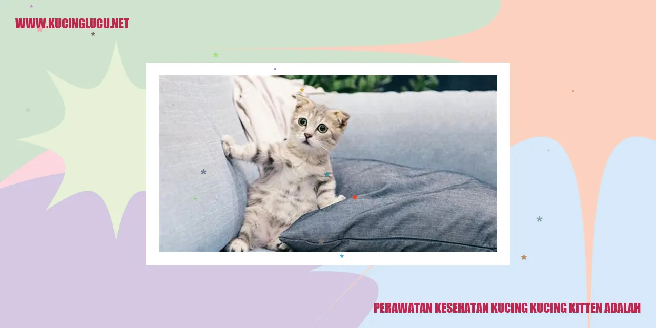 Perawatan Kesehatan Kucing Kitten
