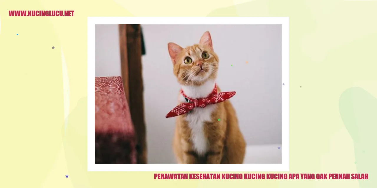 Perawatan Kesehatan Kucing