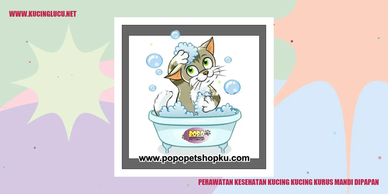 Perawatan Kesehatan Kucing yang Kurus