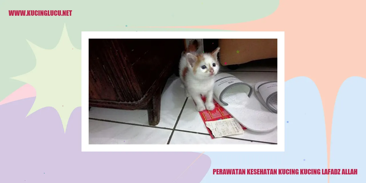 Perawatan Kesehatan Kucing