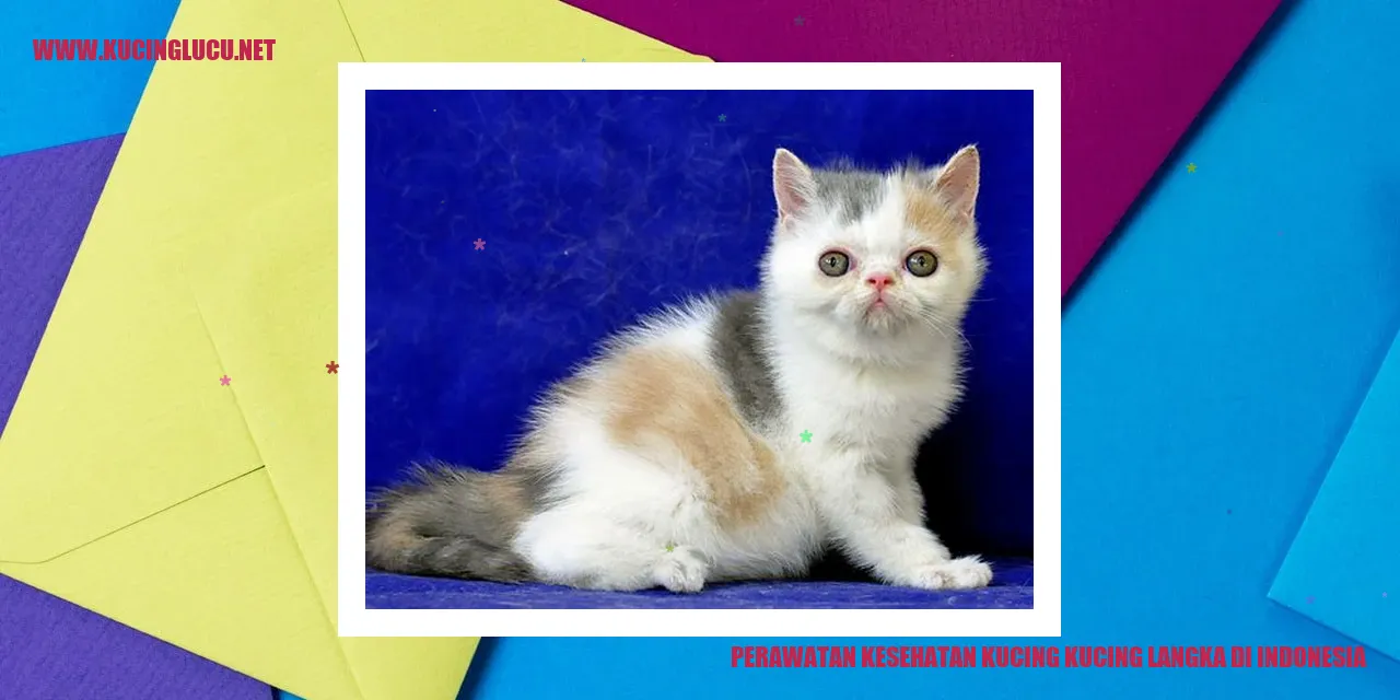 Kucing langka di Indonesia