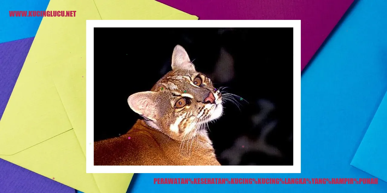 Perawatan Kucing Langka yang Hampir Punah
