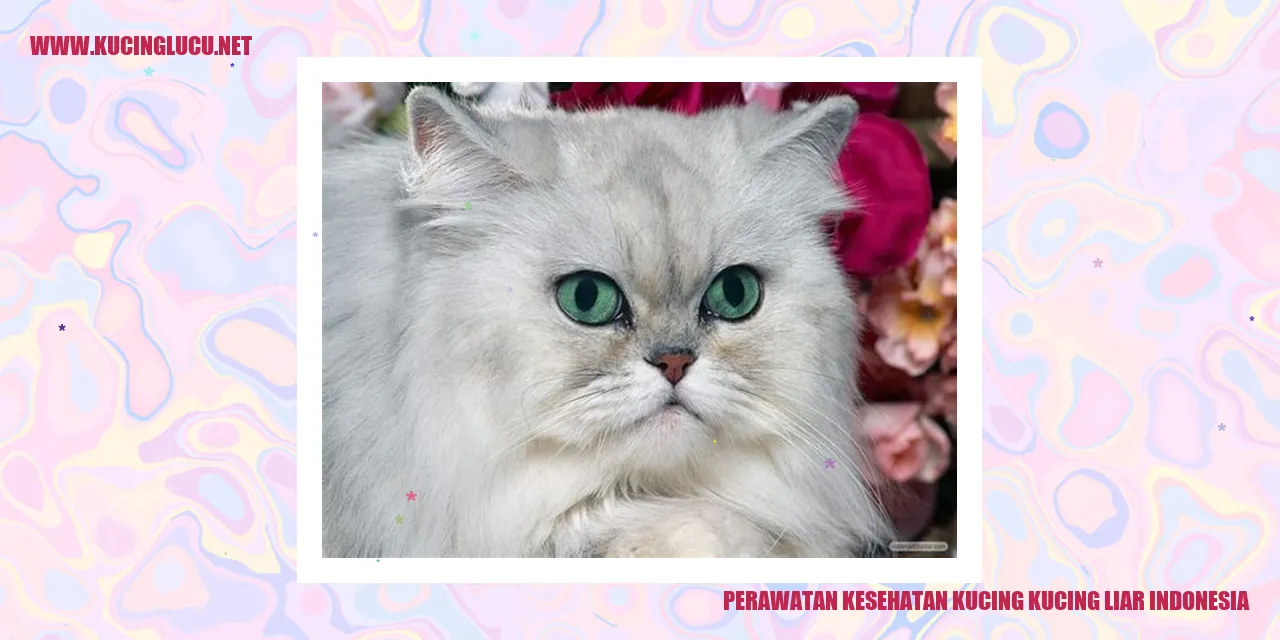 Perawatan Kesehatan Kucing Liar di Indonesia