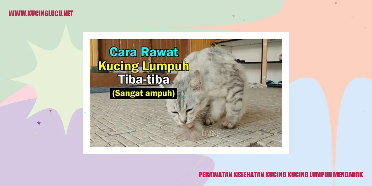 Perawatan Kesehatan Kucing yang Mengalami Lumpuh Mendadak