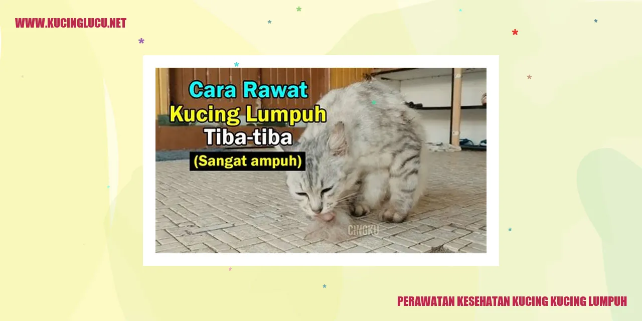 gambar kucing yang lumpuh