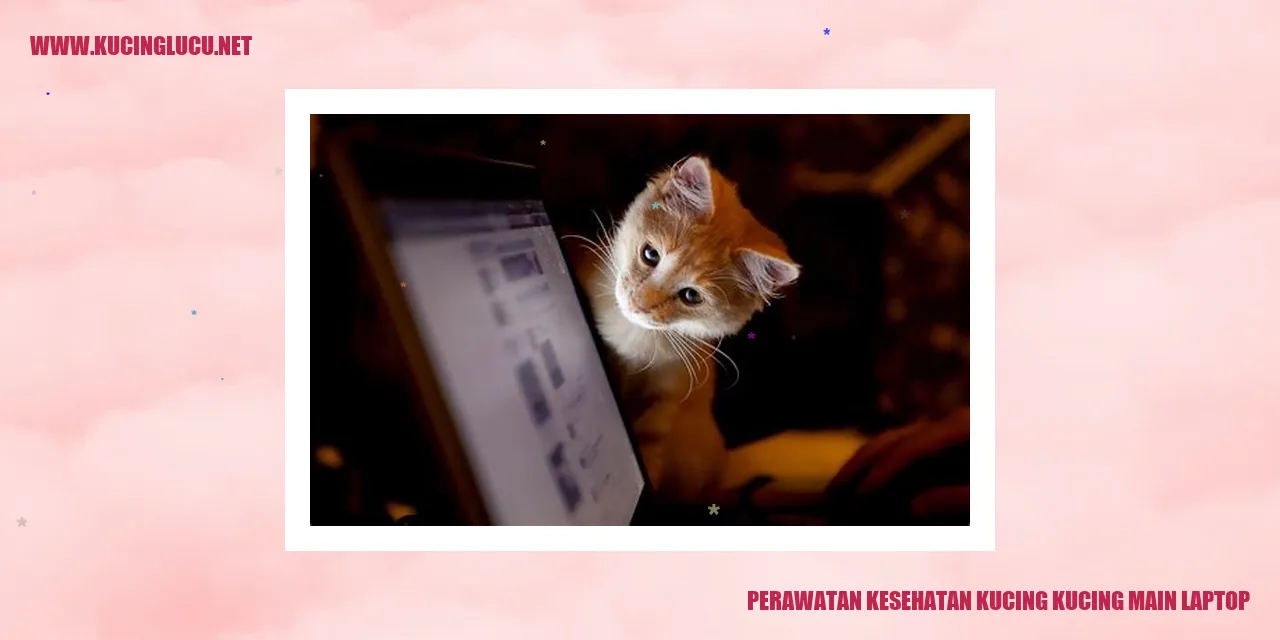 Kucing senang bermain dengan laptop