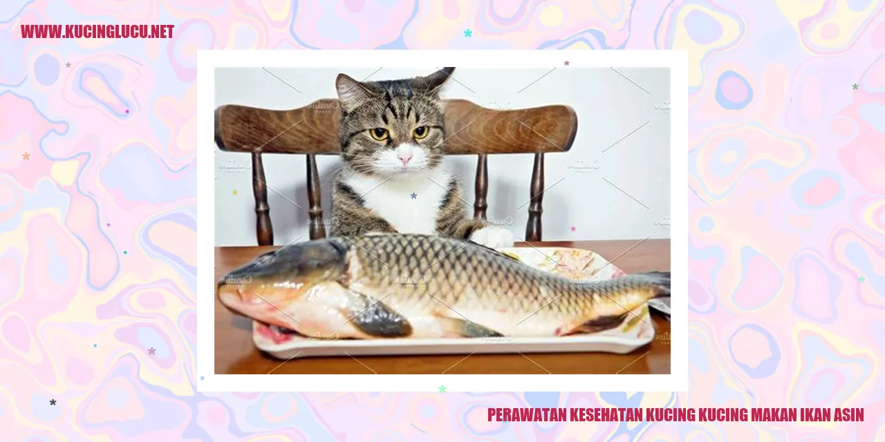Kucing Makan Ikan Asin