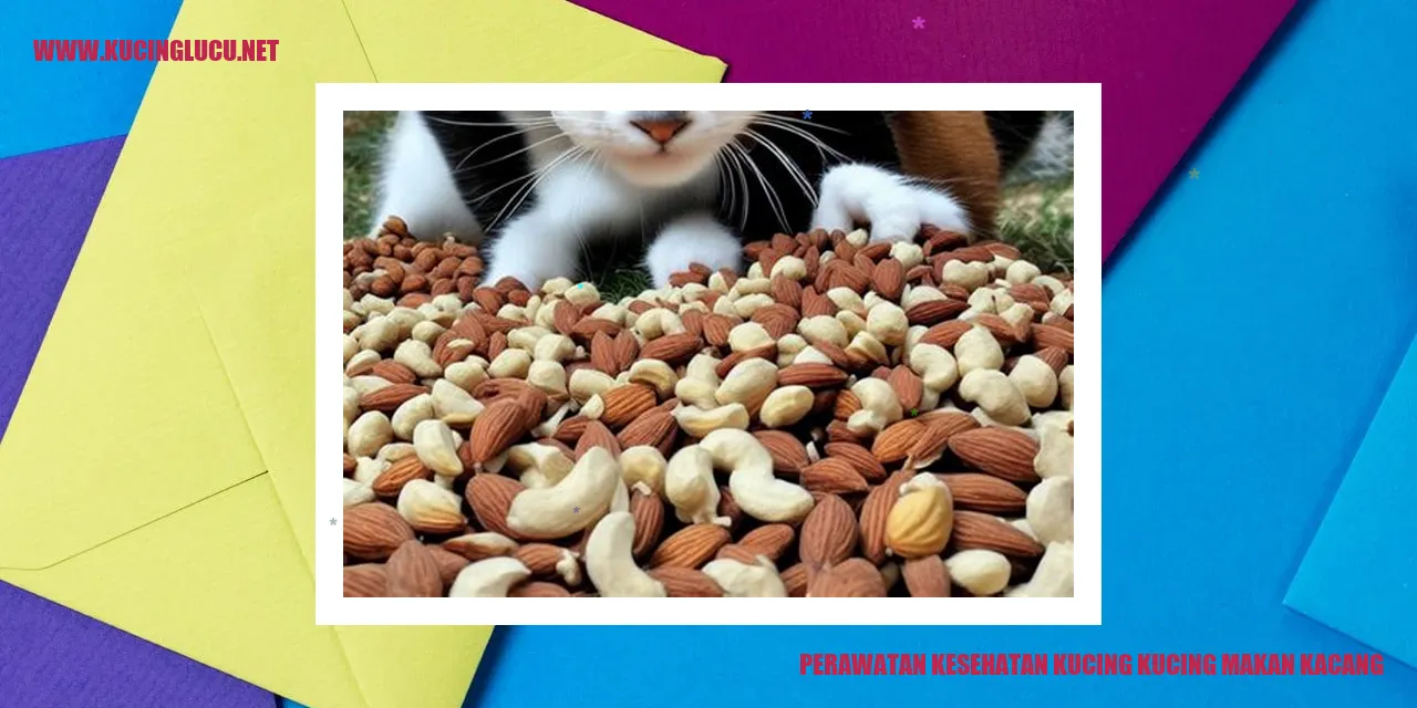 Perawatan Kesehatan Kucing