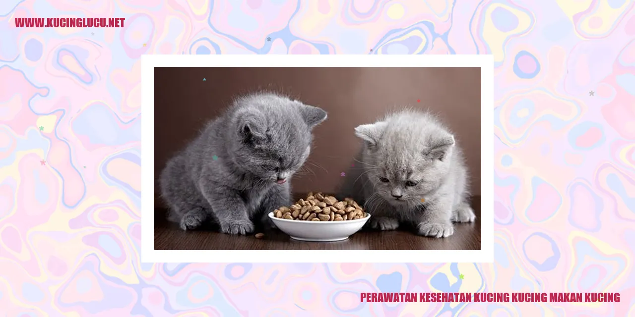 Gambar Kucing