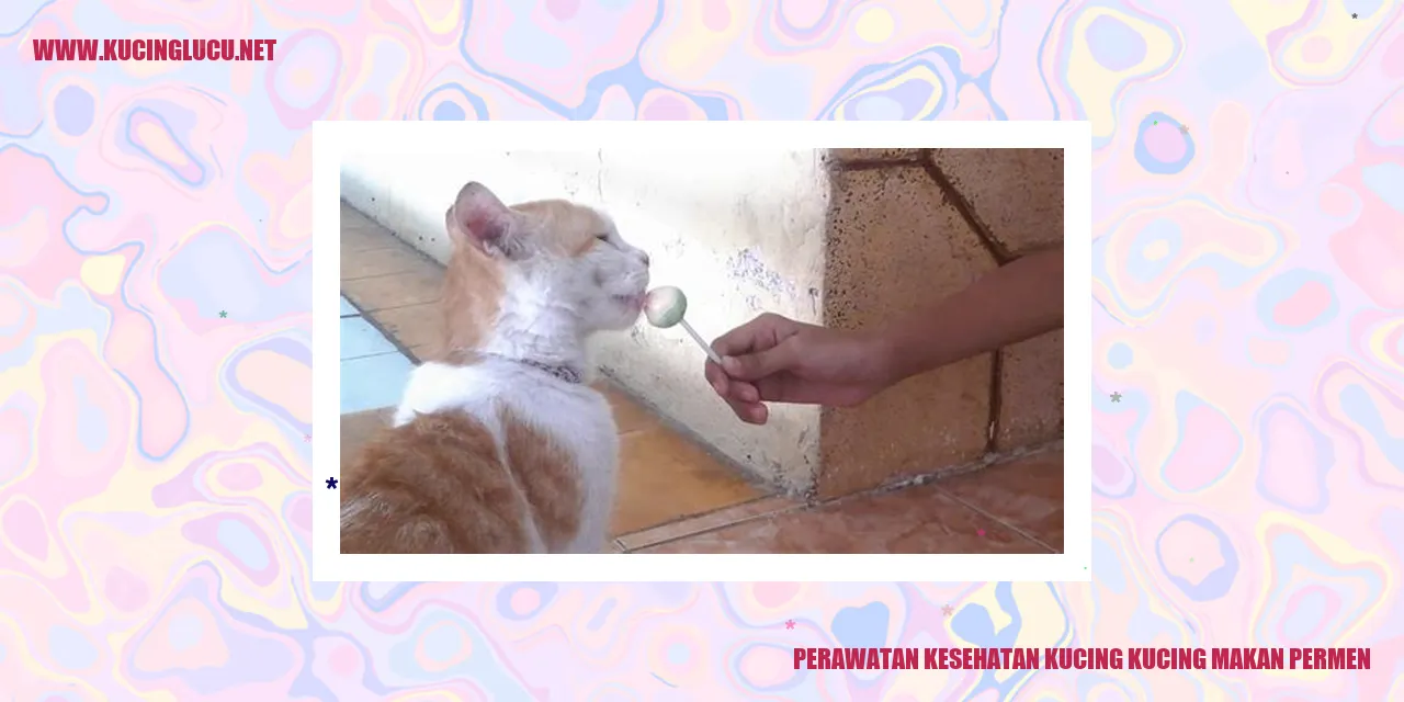 Perawatan Kesehatan Kucing