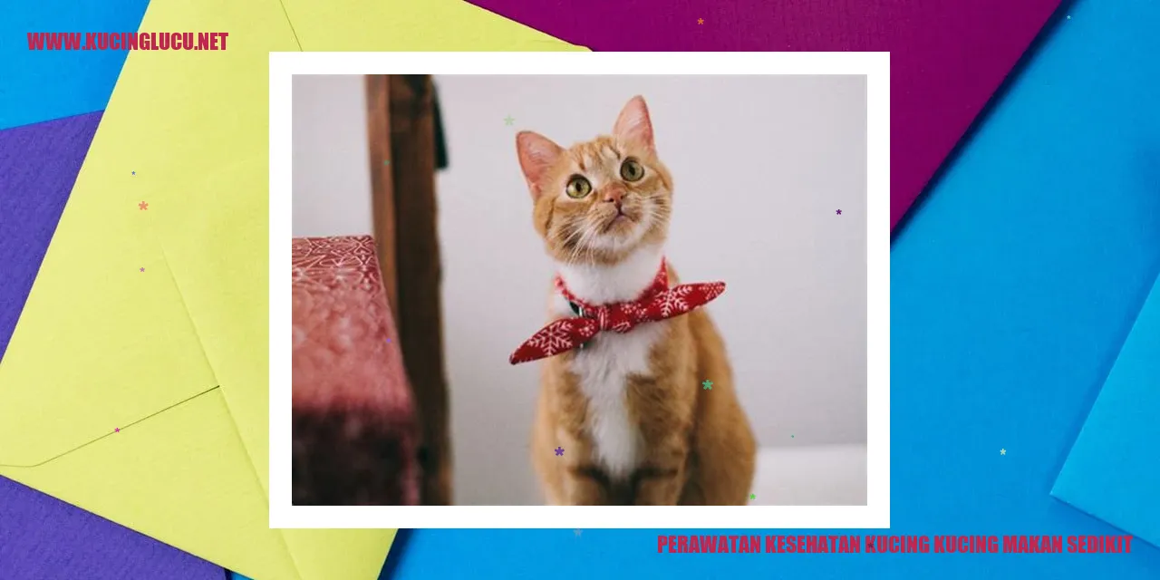 Gambar Kucing Sehat