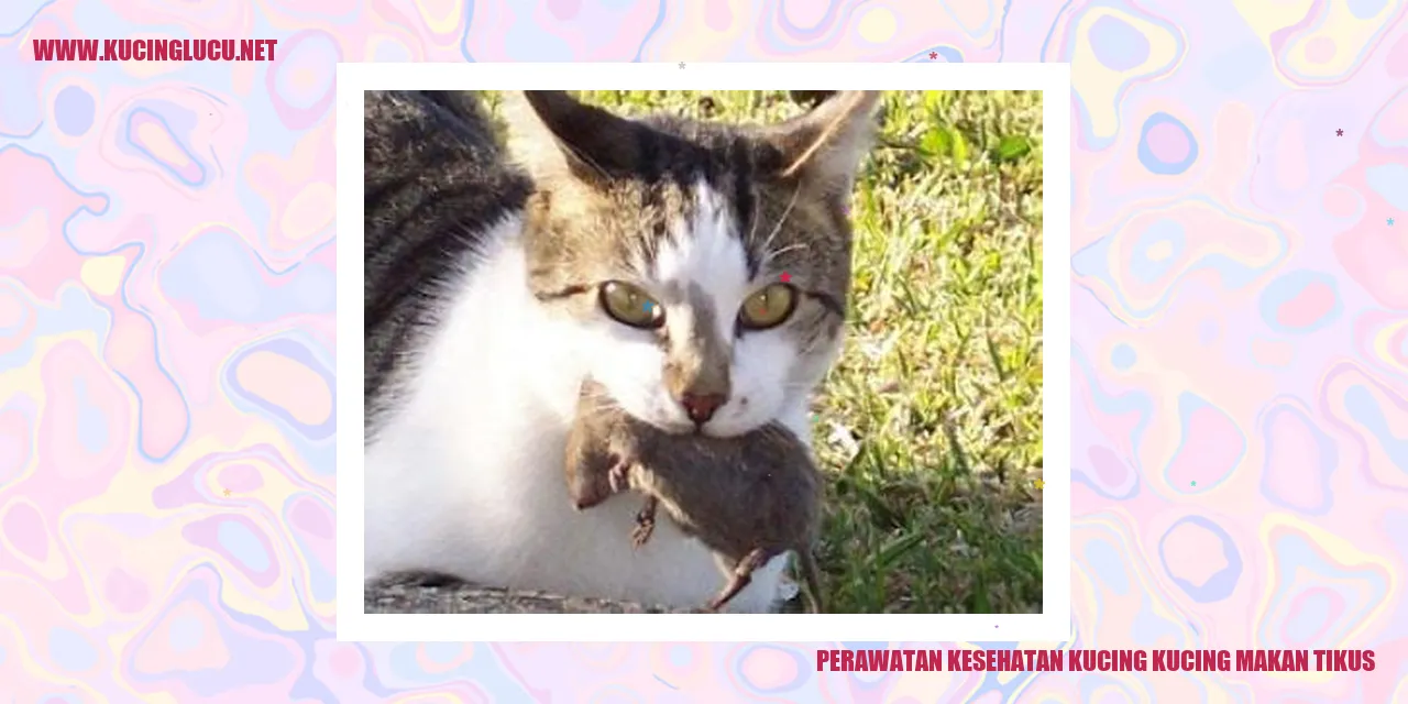 Gambar kucing yang menjulurkan lidah
