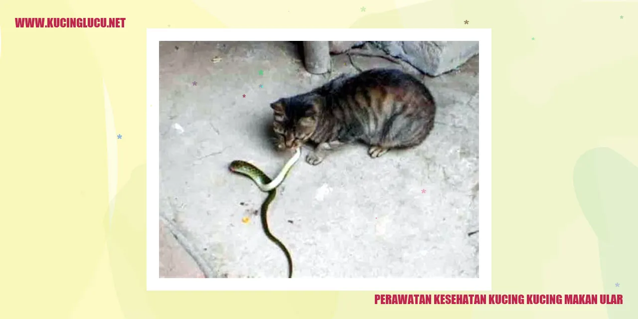 Gambar Kucing yang Makan Ular