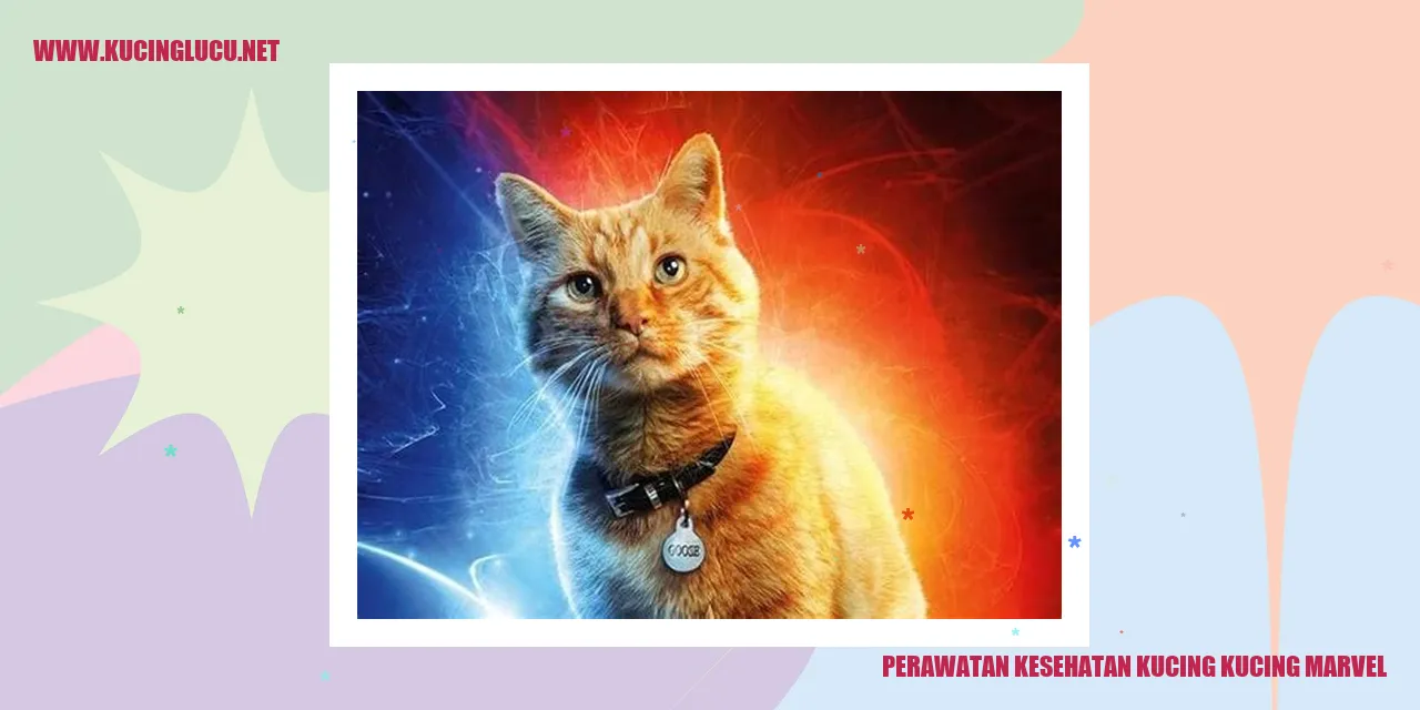 Perawatan Kesehatan Kucing Kucing Marvel