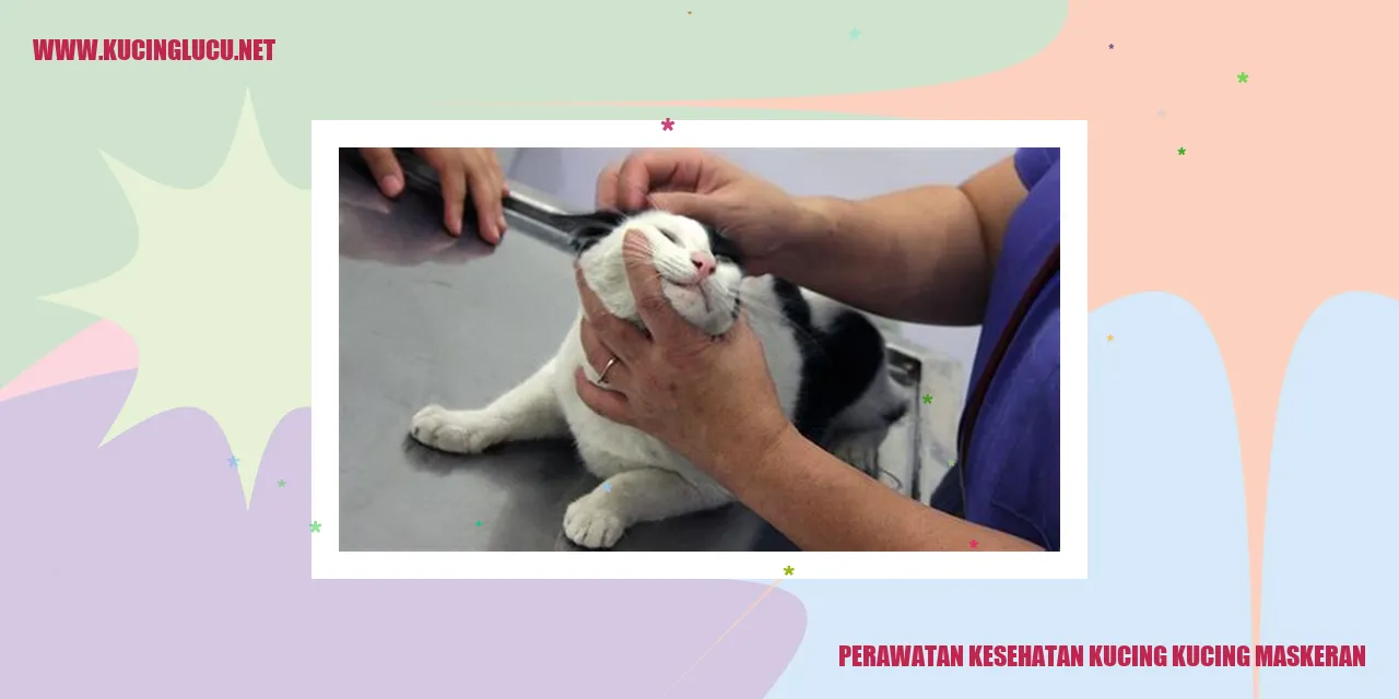 Perawatan Kesehatan Kucing yang Maskeran