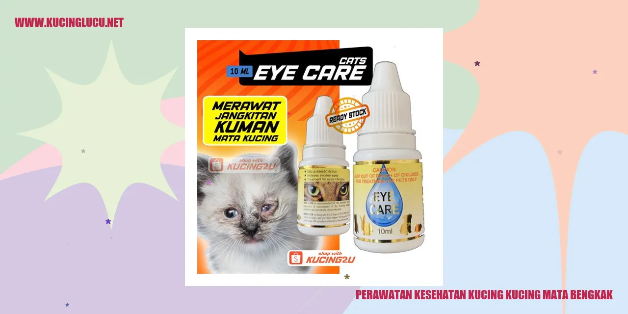 Gambar kucing sedang mengalami mata bengkak