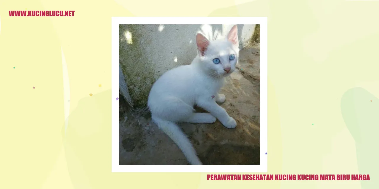 Perawatan Kesehatan Kucing Mata Biru