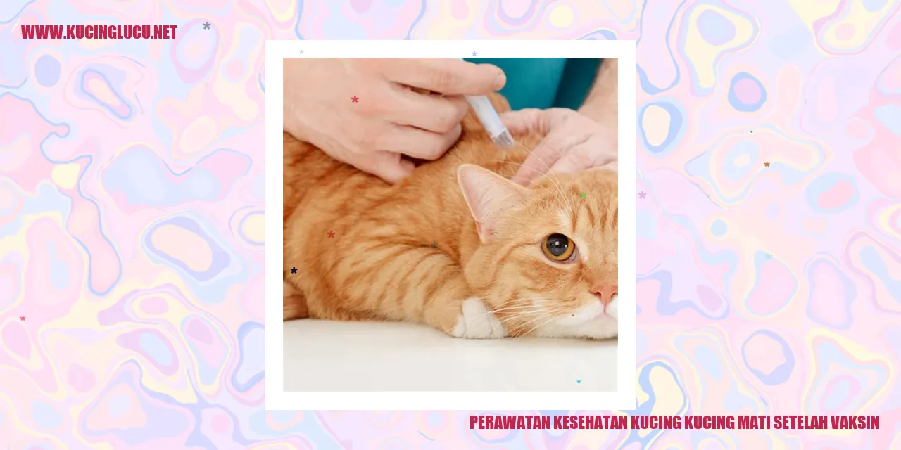 Perawatan Kesehatan Kucing: Menghadapi Kematian setelah Divaksinasi
