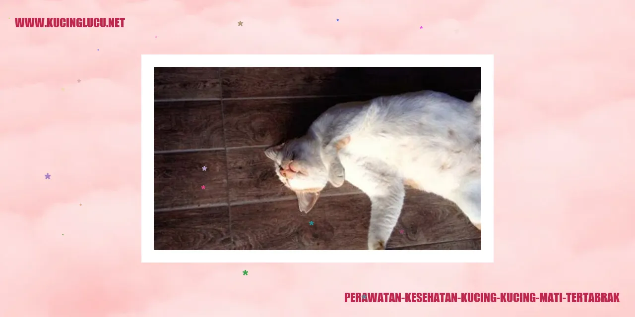 Perawatan Kesehatan Kucing