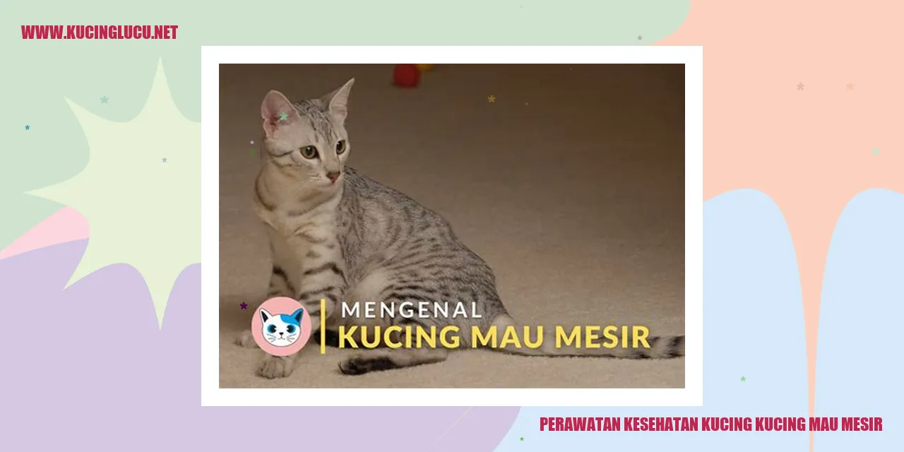 Perawatan Kesehatan Kucing
