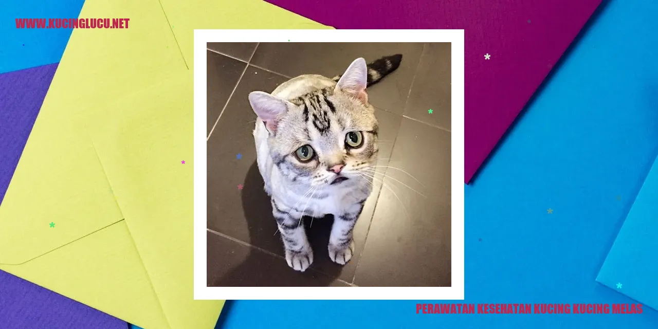 Perawatan Kesehatan Kucing Melas