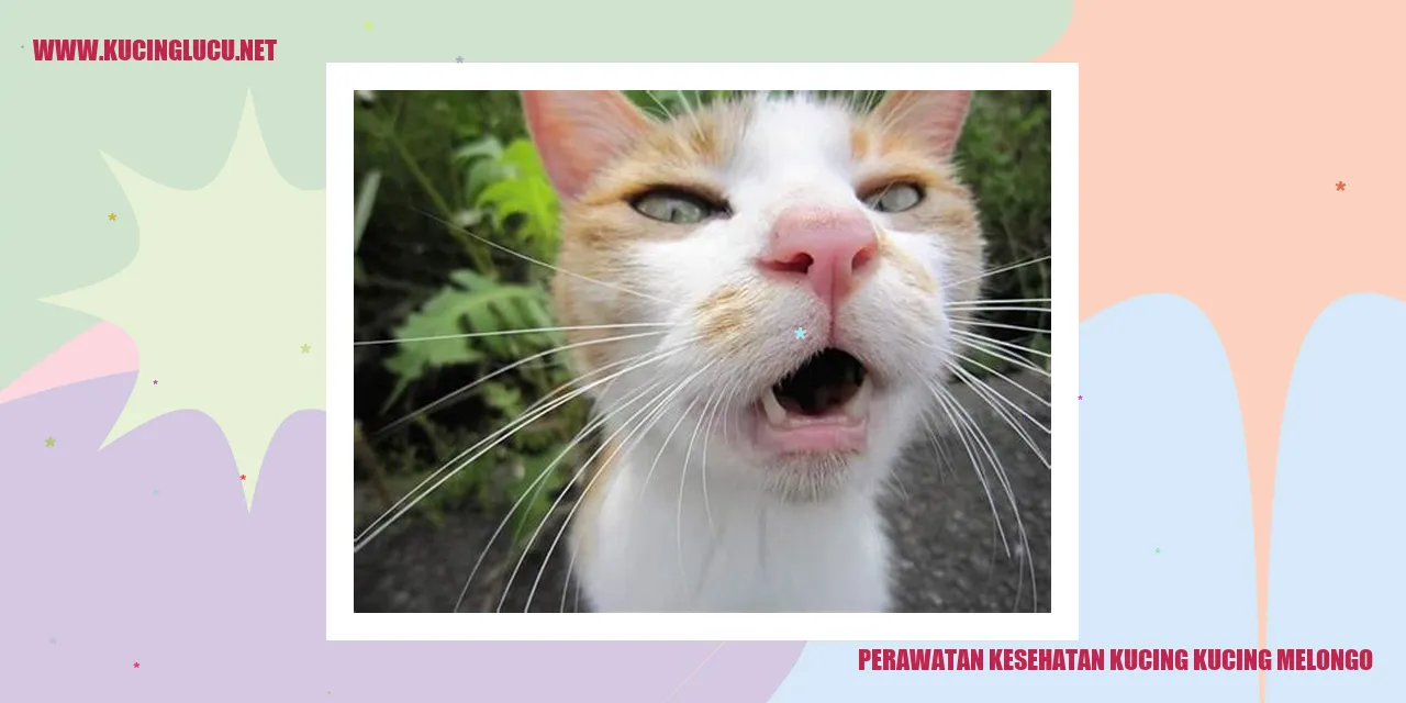 Perawatan Kesehatan Kucing