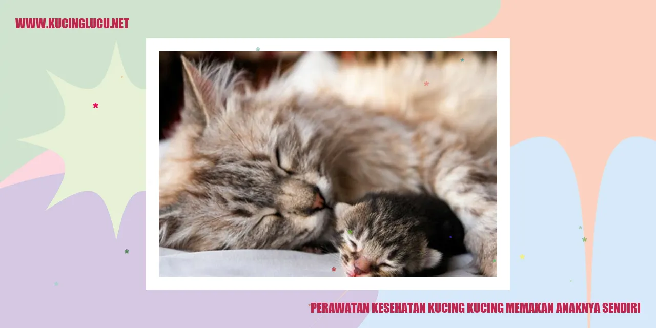 Gambar Kucing yang Menggemaskan