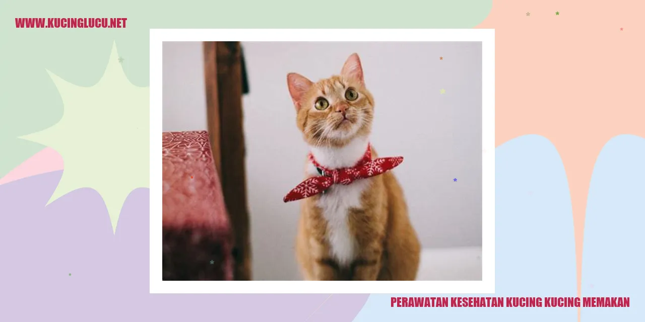 Perawatan Kesehatan Kucing