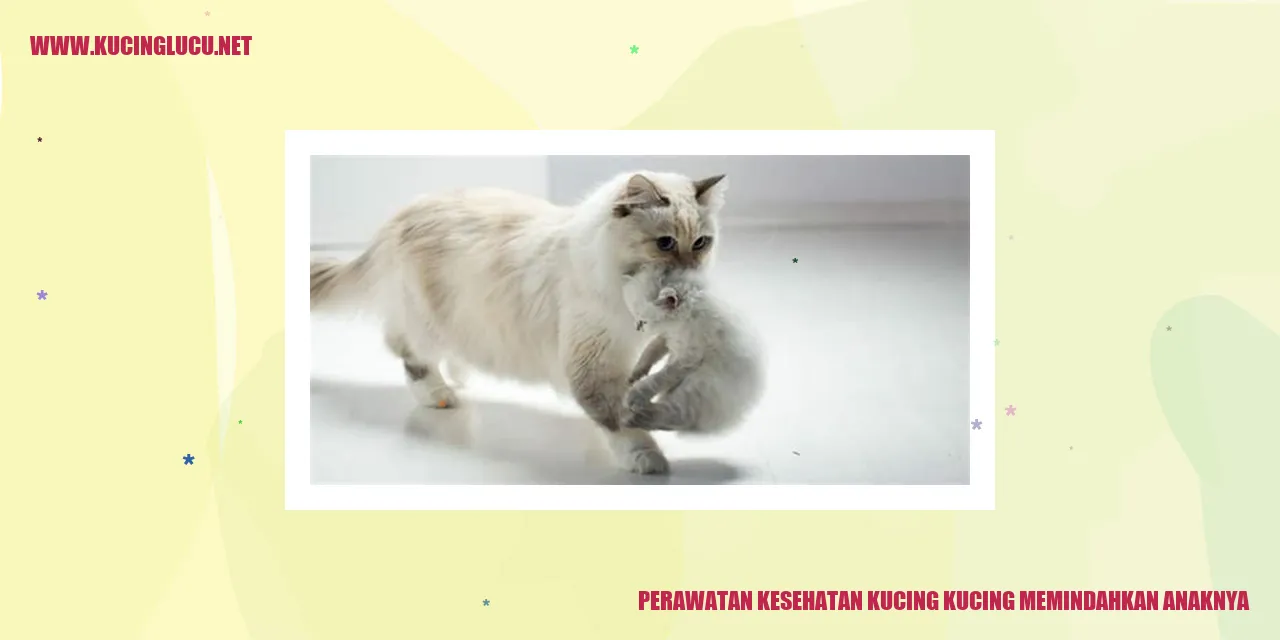 Perawatan Kesehatan Kucing