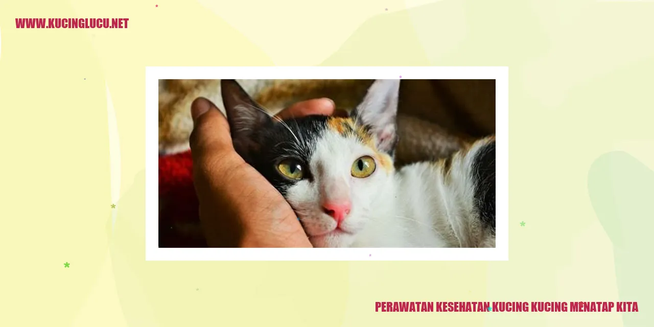 perawatan kesehatan kucing