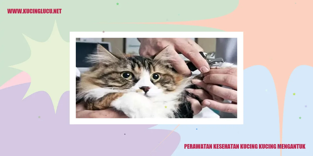 Perawatan Kesehatan Kucing kucing mengantuk