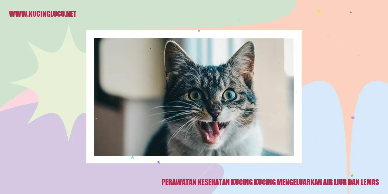 Kucing Mengeluarkan Air Liur dan Lemas