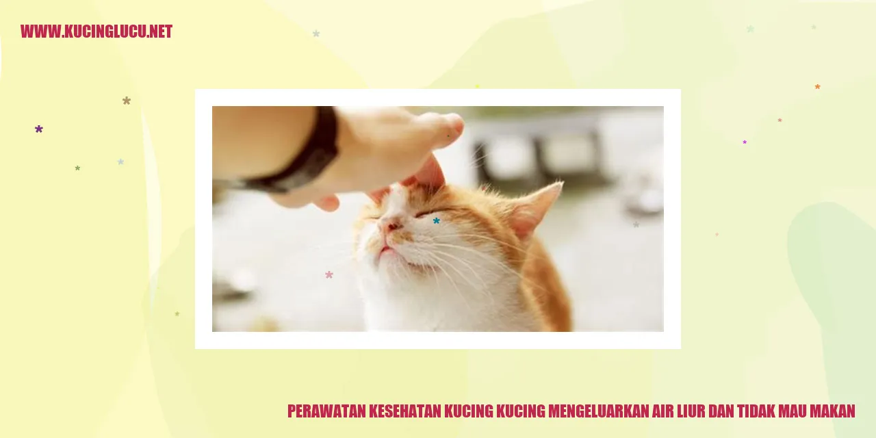 Perawatan Kesehatan Kucing