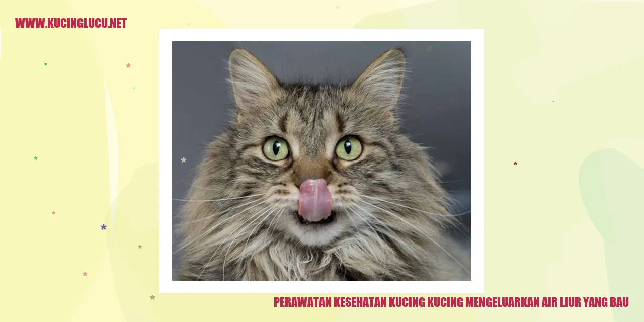 Perawatan Kesehatan Kucing