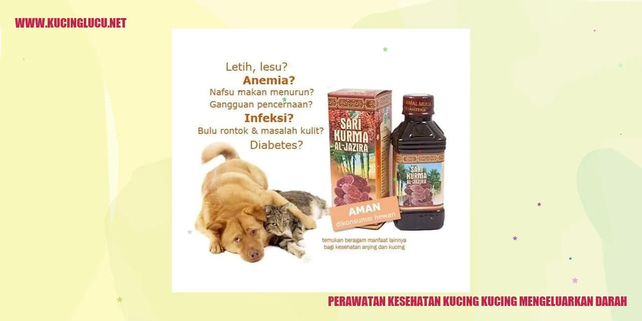 Gambar Kucing