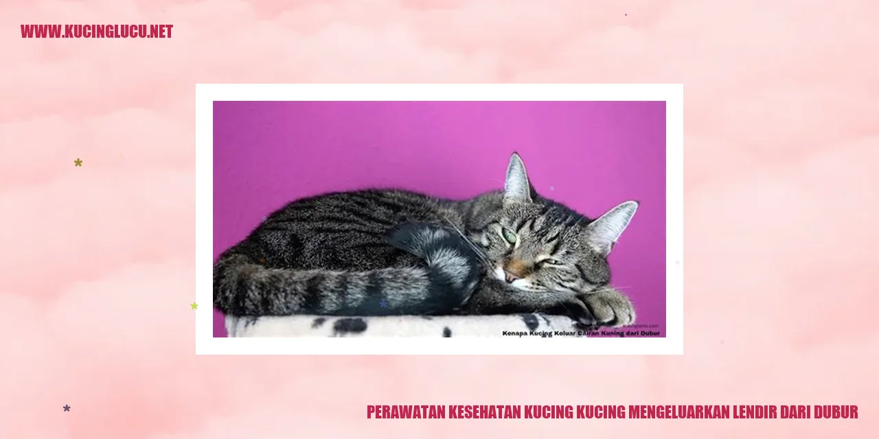 Perawatan Kesehatan Kucing: Menangani Masalah Lendir pada Dubur