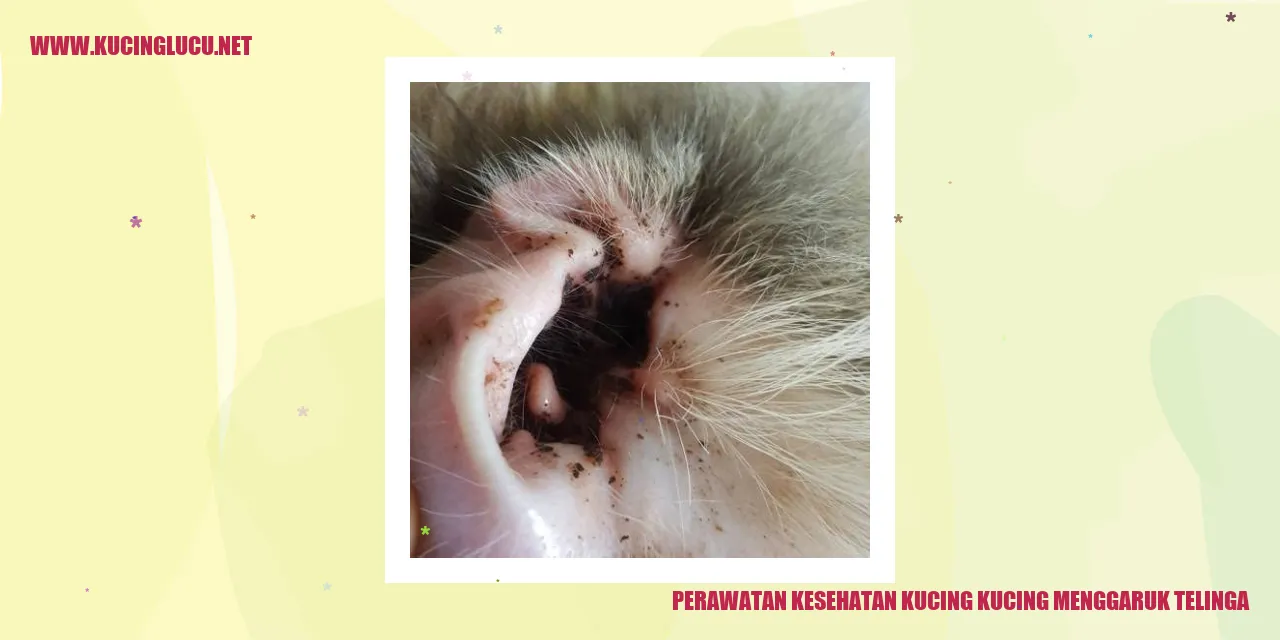 Gambar Kucing Menggaruk Telinga