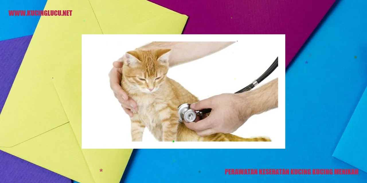Perawatan Kesehatan Kucing