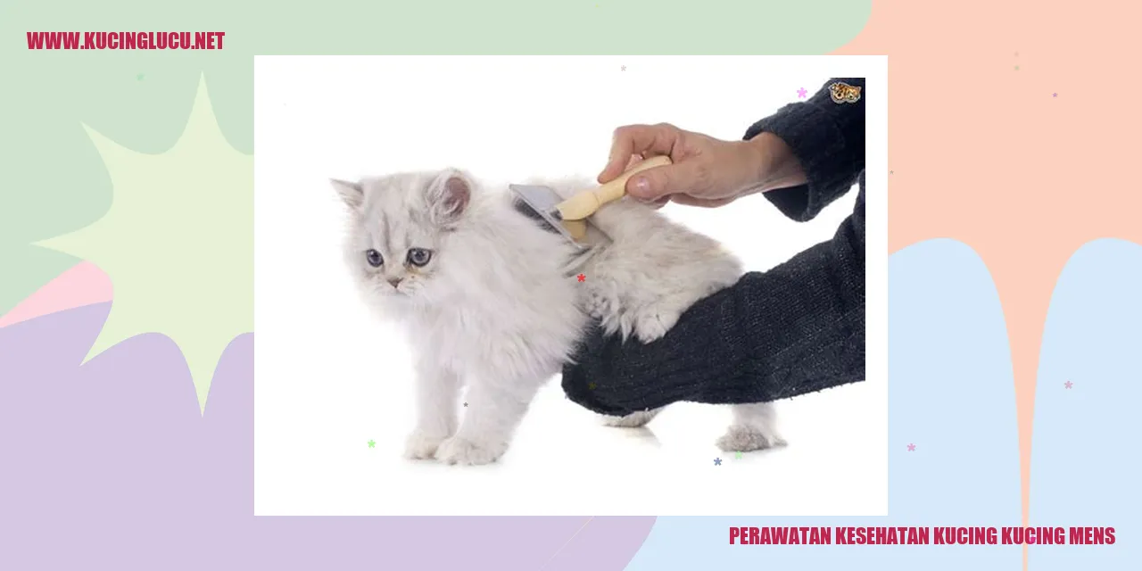 Gambar Kucing Sehat
