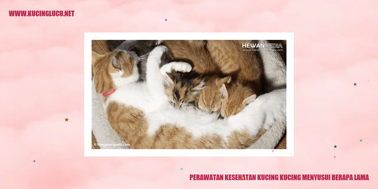 Perawatan Kesehatan Kucing
