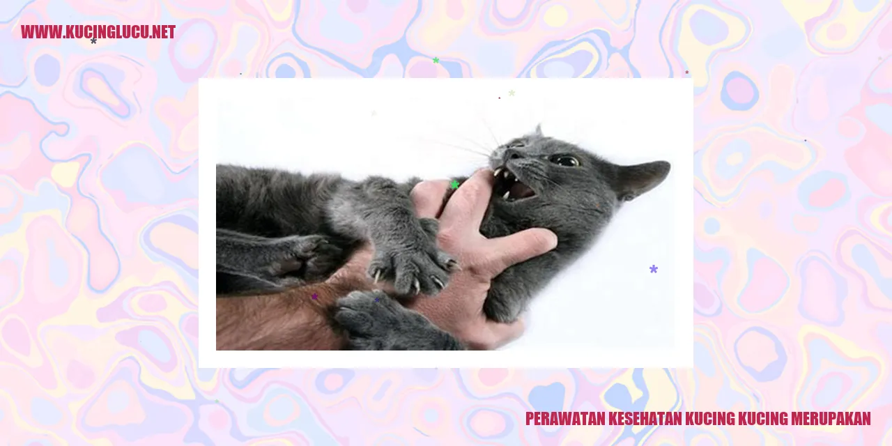 Perawatan Kesehatan Kucing