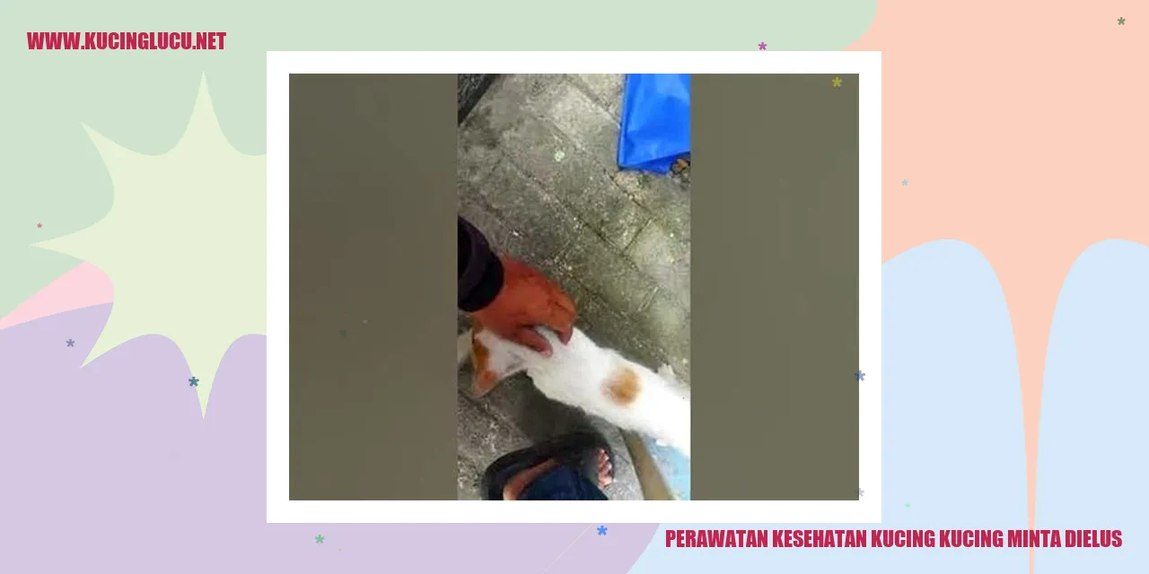 Gambar Kucing yang Sehat dan Bahagia