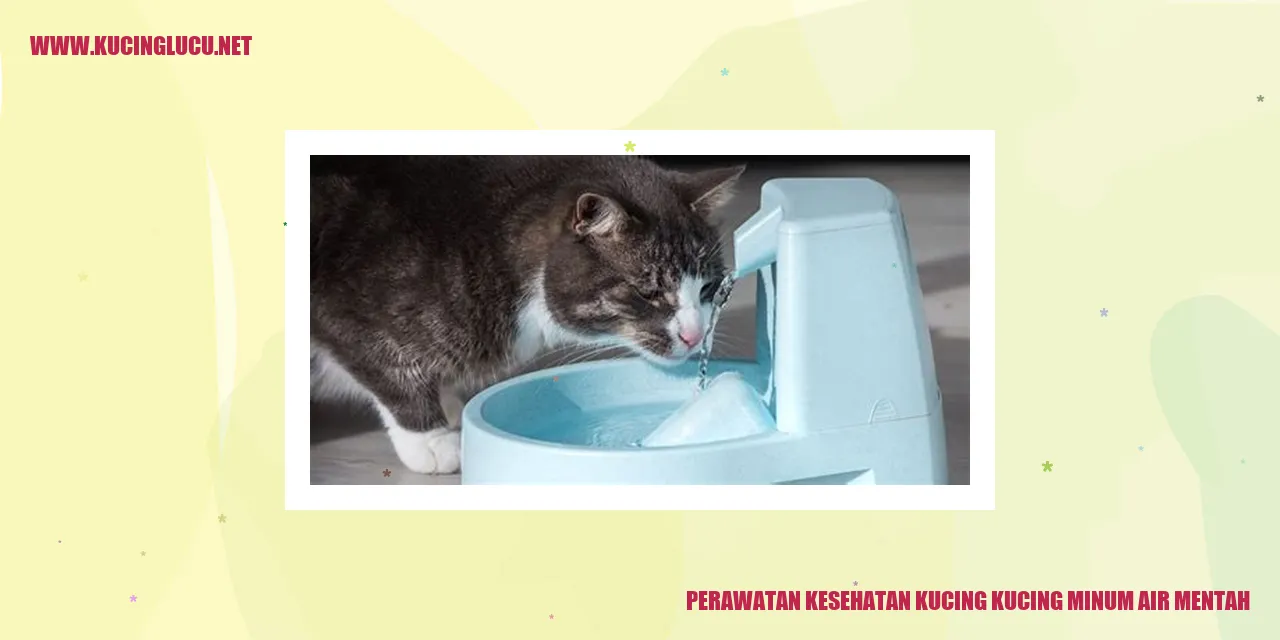 Kucing Minum Air Mentah