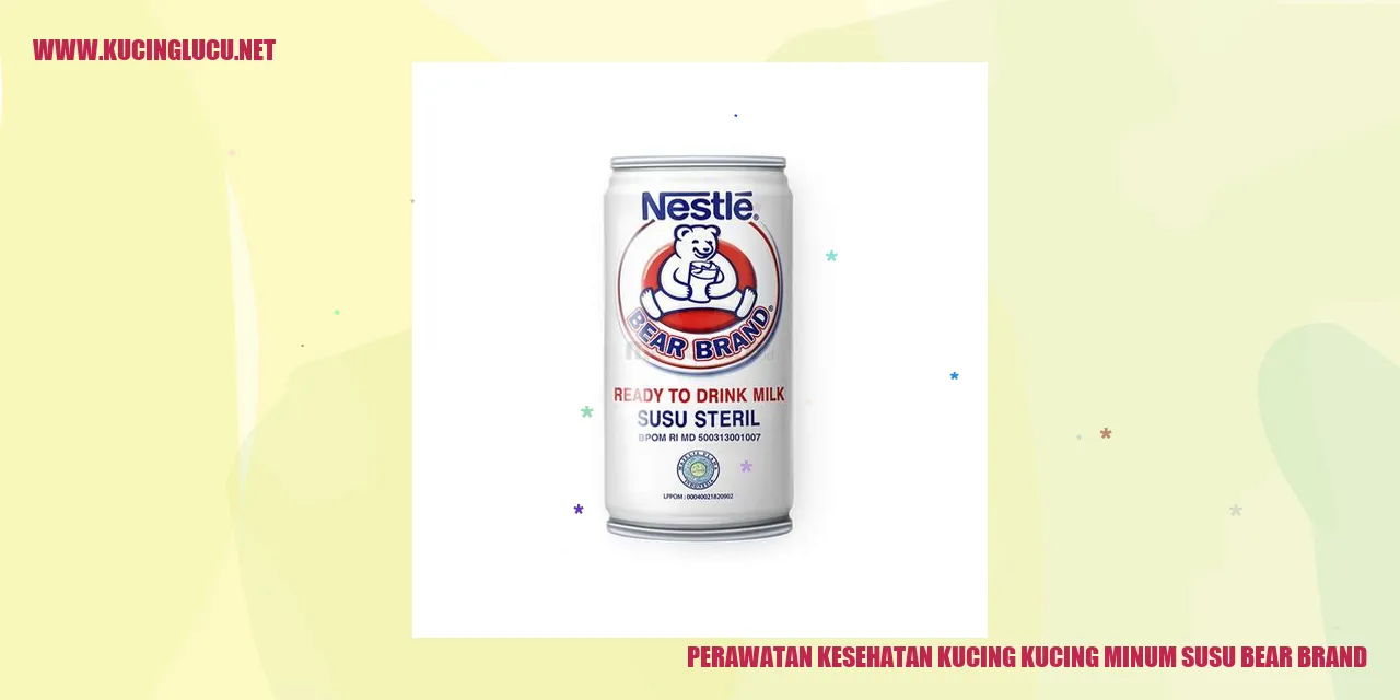 Gambar Kucing Minum Susu Bear Brand