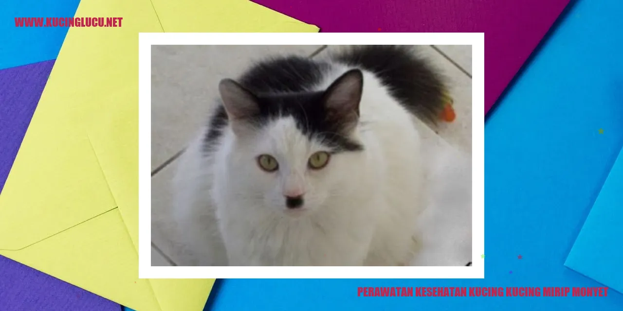 Perawatan Kesehatan Kucing
