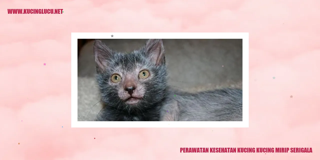 Kucing Mirip Serigala