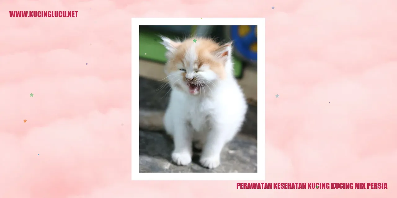 Perawatan Kesehatan Kucing Mix Persia