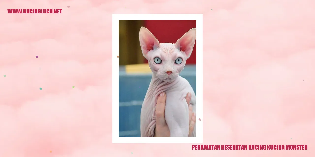 Perawatan Kesehatan Kucing-kucing Monster